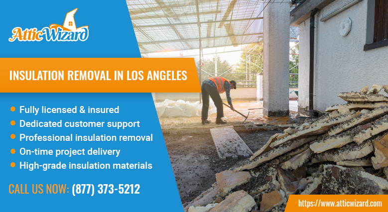 Insulation Removal process
